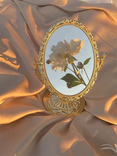 Mirror Aesthetic Flower Aesthetic Pink Aesthetic White Aesthetic Artofit