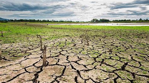 Fenómeno El Niño Traerá Más Lluvias Y Sequías A El Salvador En 2019