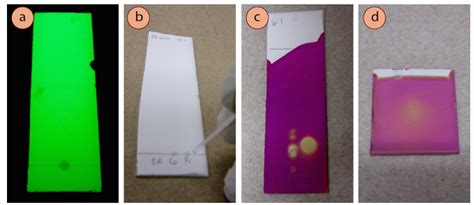 2 3f Visualizing Tlc Plates Chemistry Libretexts