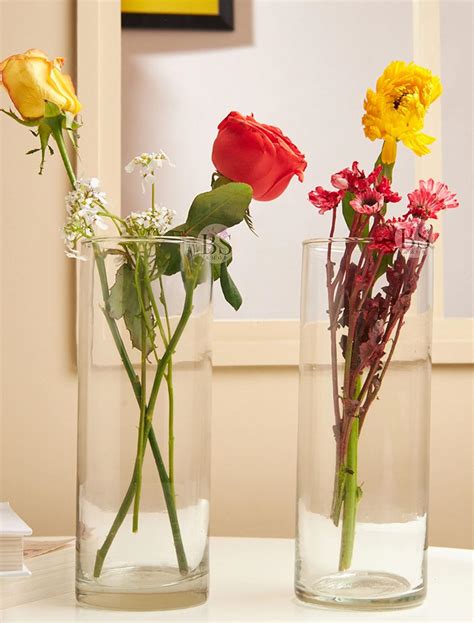 Buy Bs Amor Set Of Glass Cylinder Vases Inch Tall Multi Use