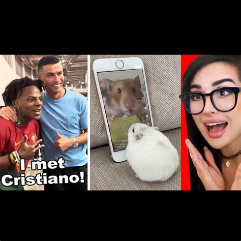 Wholesome TikToks That Will Make Your Day SSSniperWolf Podcast