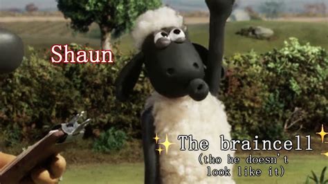 Meet The Shaun The Sheep Cast No Roots Meme YouTube