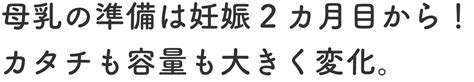 産前のバスト（妊娠3ヵ月） からだの変化とマタニティのインナー選び ワコールマタニティ公式ブランドページ