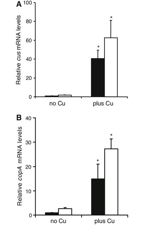 Induction Of Copper Regulated Genes In Wild Type And Dcomc Cells