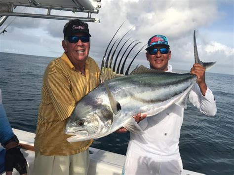 Panama Fishing Photos Monster Marlin Tuna And Rooster Fish