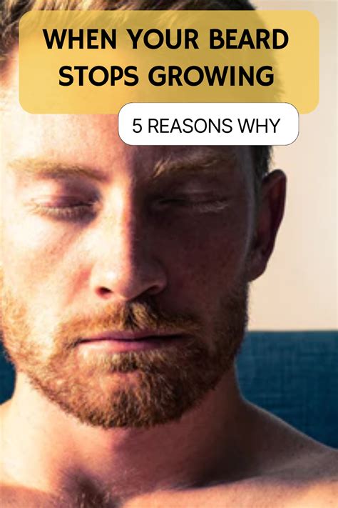 When Your Beard Stops Growing 5 Reasons Why Artofit