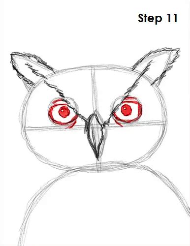 How to Draw an Owl (Great-Horned)