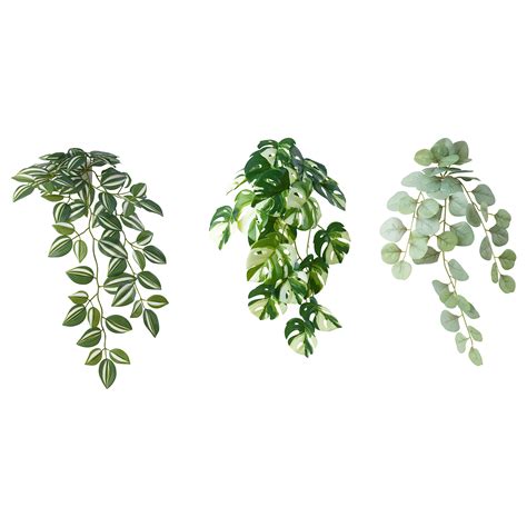 Fejka Artificial Plant With Wall Holder Inoutdoorgreen Ikea Latvija