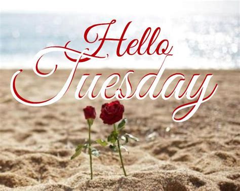 Happy Tuesday Coastal Lovers ~ Tuesday Quotes Good Morning Hello