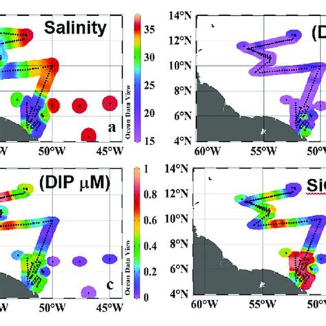 Surface Distribution Of A Salinity B Dissolved Inorganic Nitrogen