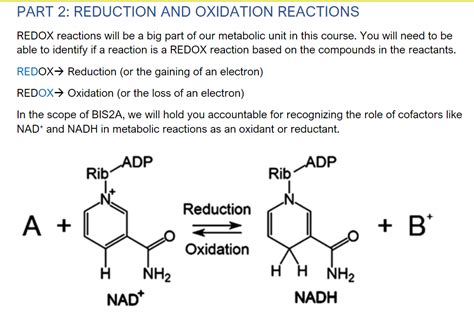 Solved PART 2: REDUCTION AND OXIDATION REACTIONS REDOX | Chegg.com 