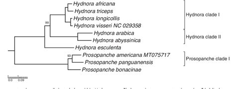 Figure 1 From Structural Plastome Evolution In Holoparasitic