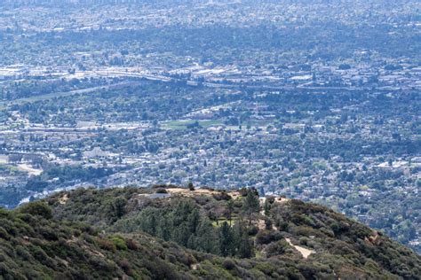 20 Dog Friendly Hikes In The Greater Los Angeles Area Barkbus Ruff Draft