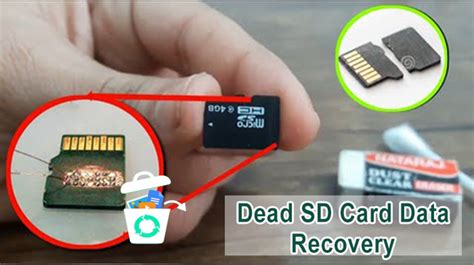 How To Repair Micro Sd Card Mealvalley17