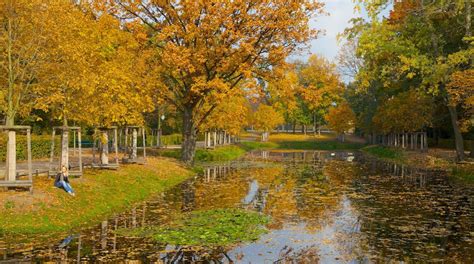 Visit Tiergarten: Best of Tiergarten, Berlin Travel 2022 | Expedia Tourism