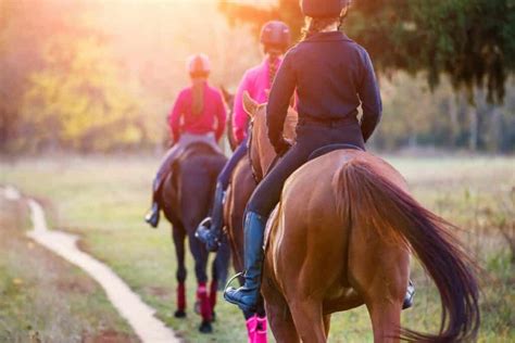 Reiturlaub In Ungarn Pferdeabenteuer Im Herzen Europas Reiterguide