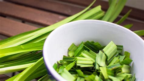 15 Health Benefits of Pandan Leaves – 15 Health Benefits