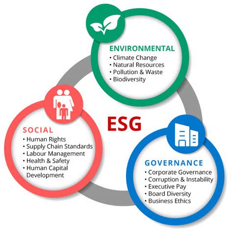 Dbs Explains What Is Esg Investing