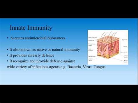 Introduction To Immunology Youtube