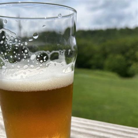 Seven Seasons Ipa Therapy Brewing Untappd