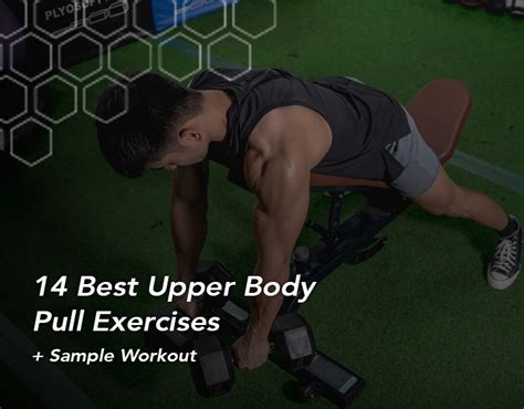 Best Upper Body Pull Exercises Sample Workout Fitbod