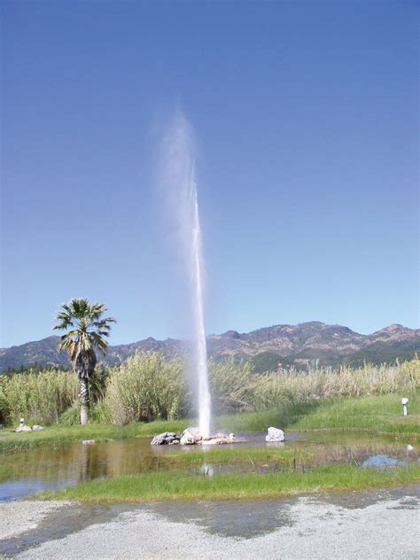 Old Faithful Geyser of California | geyser, Calistoga, California ...