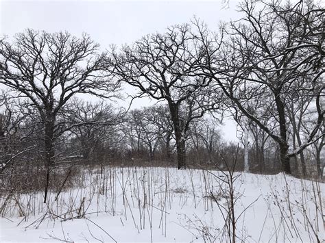 Lake Wingra | Oak Savanna | Madison, Wisconsin