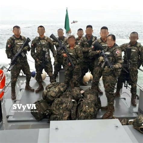 Infantes De Marina FES Fuerzas Armadas De Mexico Armada De