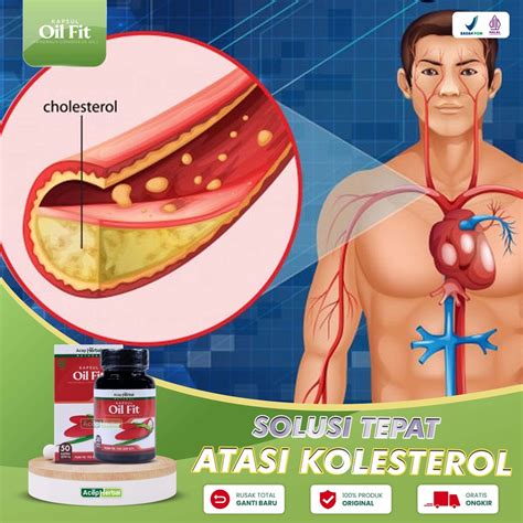 Jual Kapsul Oil Fit Obat Kolesterol Dan Asam Urat Trigliserida Lemak