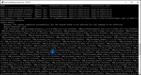 How To Patch ESXi 7 Using Command Line Mastering VMware