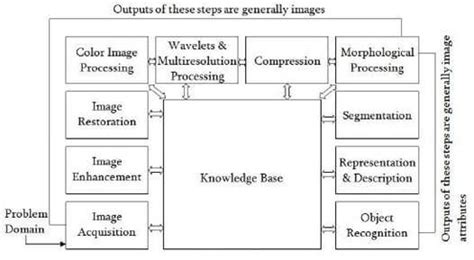 Stages Of Digital Image Processing