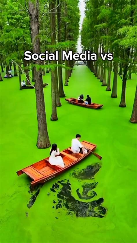 Social Media Vs Reality 🤣 Social Media Vs Reality 🤣 By Banggood