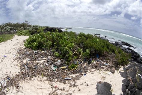 Plastic Pollution Mauritius Indian Ocean Stock Photo Image Of