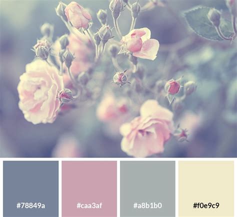 25 Pastel Color Codes And Palettes With Example Photos