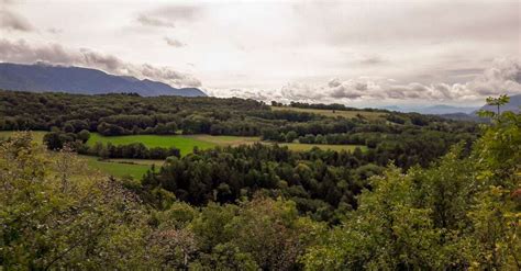 Randonn E Du Bois Du Geay Haut Valromey Office De Tourisme Bugey