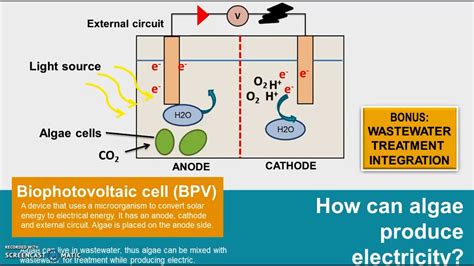 Can We Produce Electricity From Salt Water