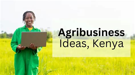 85 Profitable Agribusiness Ideas In Kenya For 2025 Moneyspace