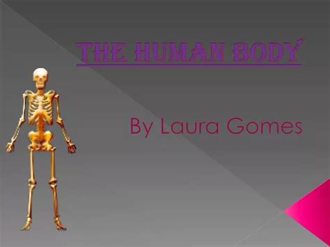 Ppt The Human Body Powerpoint Presentation Free Download Id 2720124