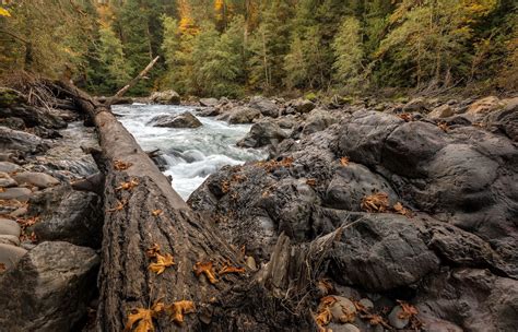 Wallpaper Landscape Forest Waterfall Rock Nature River