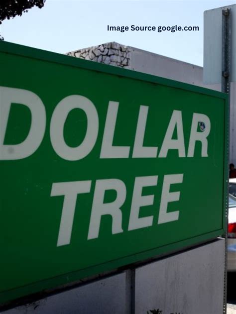 11 Dollar Tree Buys That Are Way Cheaper Than Amazon StatAnalytica