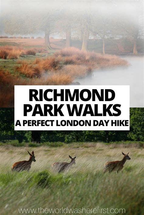 Richmond Park Walks A Perfect London Day Hike The World Was Here First