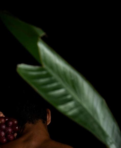 Ricky Cohete Palmar From The Viva Series Male Nude Limited Edition Color Photograph For Sale