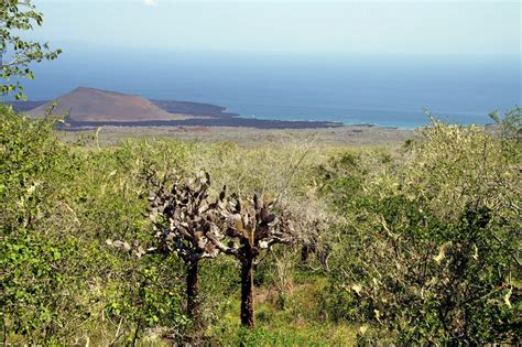 History of Galápagos | Galápagos Conservancy