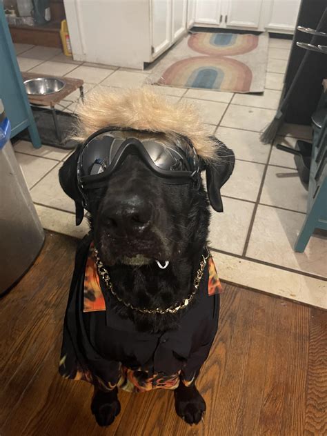 The hero we all need : r/guyfieri