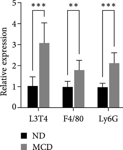 Amphiregulin Induces Inos And Cox‐2 Expression Through Nf‐κb And Mapk