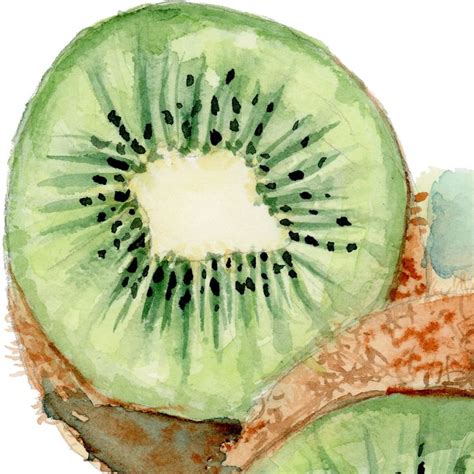 Kiwis Watercolor Print Etsy Canada Arte Em Aquarela Pintura