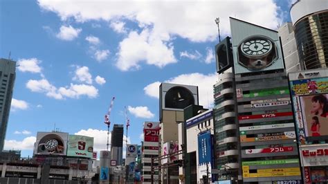 【12時】渋谷駅前の大型ビジョンで秋田犬の子犬がフリスビーをナイスキャッチ！可愛い3dカラクリ時計 Youtube