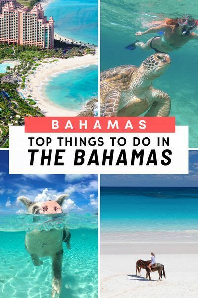 Unmissable Things To Do In The Bahamas Artofit