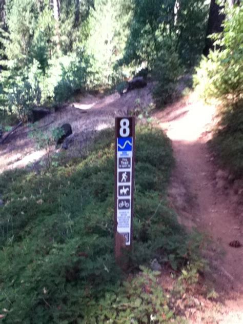 Fleming Meadows Mountain Bike Trail In Pollock Pines California