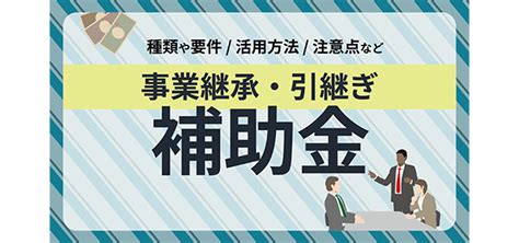 事業承継・引継ぎ補助金とは？種類や要件、活用方法、注意点など